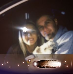 Meet your Posher, Misty